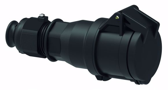fo310462.JPG
