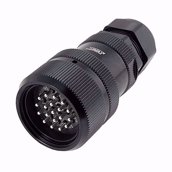 syn-4191.JPG